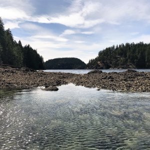 Drying Reef west end of Prideaux Haven
