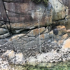 Many stern tie chains can be found in the various BC Coves.