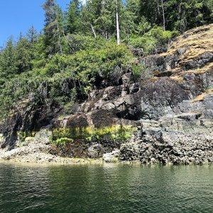 Small waterfall inside of Roscoe inner Cove