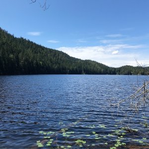 Black Lake. Short trail takes you there from head of Roscoe Cove
