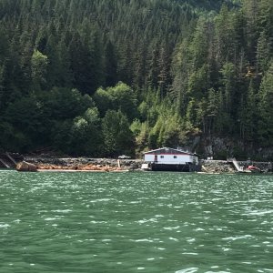 Logging operation in Brem Bay, Toba Inlet
