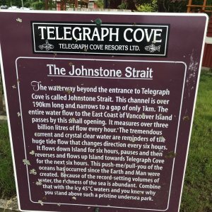 306 Telegraph Cove