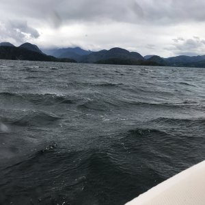 Confused chop in Sutlej Channel near North Broughton Island