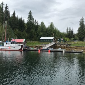 349 Procter Cove