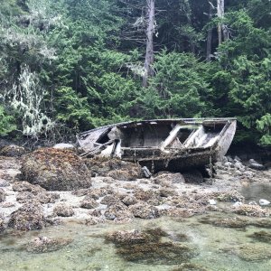 This old boat has seen better days, in Echo Bay