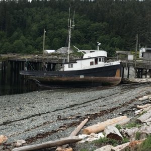 Media 'This might have been a nice fishing tug at one time, out of Alert Bay' in album 'In line for the ferry'