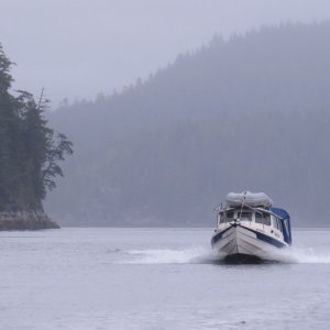 Media 'Broughtons' in album 'Cruising The Broughtons'