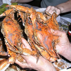 Media '(Bluecrab) Handful of steamed blue crabs' in album '(Bluecrab) Handful of steamed blue crabs'