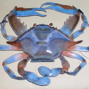 Media '(Bluecrab) Enamelled glass crab - unfortunately inedible.' in album '(Bluecrab) Handful of steamed blue crabs'