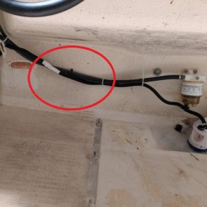Area with dull-sounding hammer blows.