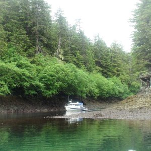 Media 'The Hunkydory entering the Elfin Cove inner harbor' in album 'Ready to leave in morning 4-14-12'