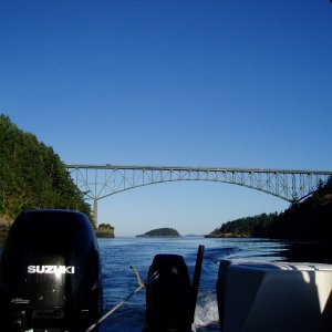 Media '(Roberta Krumm)' in album '(pugetsounder)'