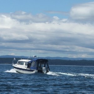 (c-dancer) Bess-C leader of whale watching C-Pod