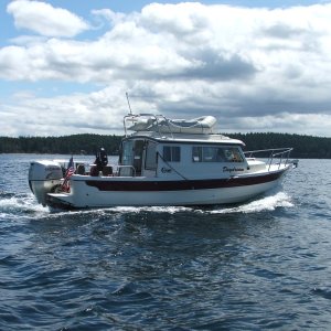 (c-dancer) Daydream of the whale-watching C-Pod