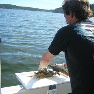 (Jeff and Diane) Jeff\'s Crabs