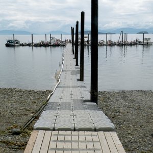 Media 'Doc Warners dock' in album 'Fishing vessels queuing up at cannery'