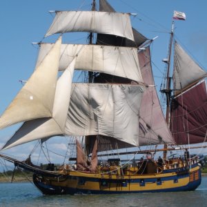Media 'Tall Ships 031' in album 'Lady Washington and Hawaiian Chieftan visit Humboldt Bay.'