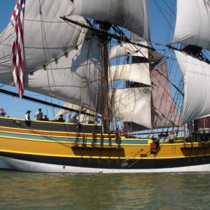 Tall Ships 036
