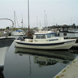 Seaduced at rest