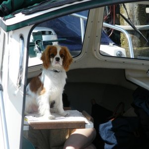 First Mate of Gizmo.
