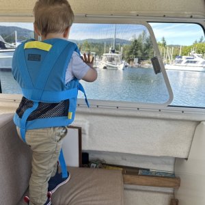 Media 'IMG 1339' in album 'Grandson enjoying a sunny day cruise!'