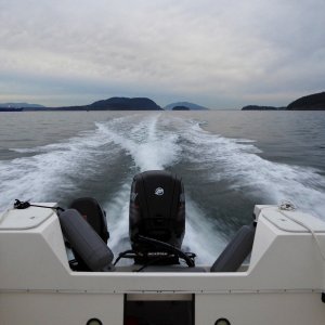 Gale winds were forecast for Saturday morning so decided last minute to run back to homeport for the night while it was still calm