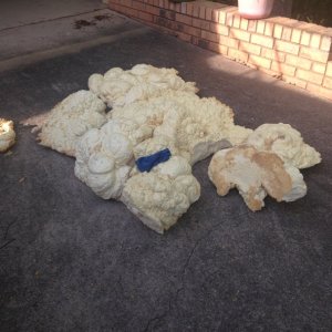 All of the extracted foam