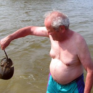 (Pat Anderson) Bill Fiero and Friend (a horseshoe crab)