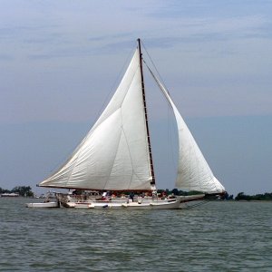 (Pat Anderson) A Skipjack Under Sail