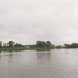 Media '(Roberta Krumm)' in album 'El Fiero and Claire Callahan'