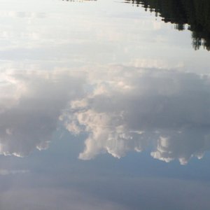 Reflection of clouds at Von Donop Inlet 6-12-06