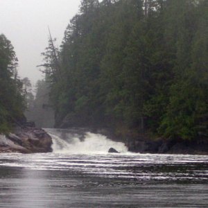 Media 'Waterfall at Lowe Inlet 6-15-06' in album 'fea alaska1 600x400'