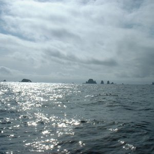 (416rigby) The rocks at Cape Chiniak
