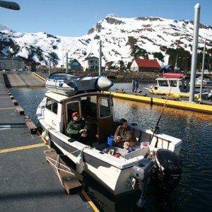 Media 'Whittier Harbor - Sunny, as always' in album 'Whittier Harbor - Sunny, as always'