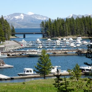 Bridge Bay Marina--home.