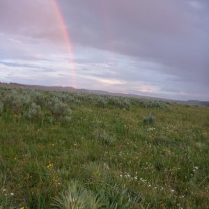 Media 'Rainbow in Hayden Valley' in album 'Ken at the helm.'