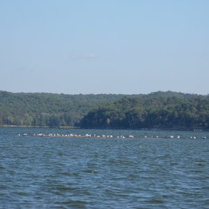 The two channels are separated by large areas of very shallow water.