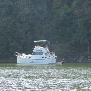 Media 'We pulled into Clay Bay to stop for breakfast.  We shared the bay with this cool looking boat.' in album 'We drove to KY Dam Marina on Thursday 10/16/08, the first day of fall break.  There were clouds and light rain for much of the drive....perfect C-Dory weather.  Our heater worked fine so we started up river.  The wildlife started immediately with this bird just outside the marina.'