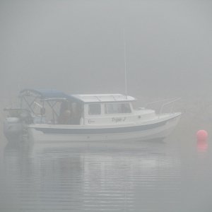IMG 0047
