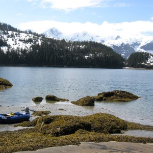 IMG 2766