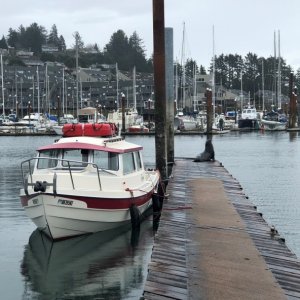 Media '2022 Herring Trip' in album 'Mighty Neah-kah-nie Mountain'
