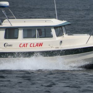 Cat Claw New Honda 90 Break-in Yellowstone Lake 2018.