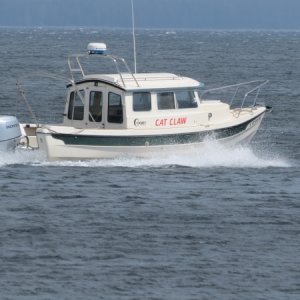 Media '' in album 'Cat Claw New Honda 90 Break-in Yellowstone Lake 2018'