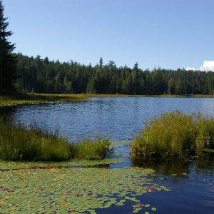 IMGP2156
