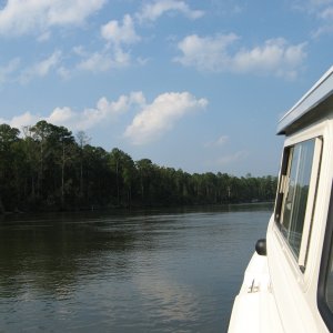 A quiet stretch of Adam's Creek