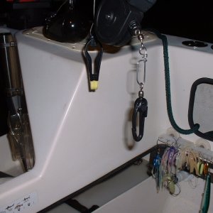 Downrigger snap