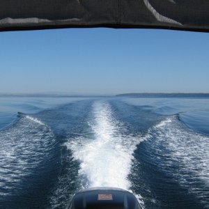 Media 'En route to Sequim.  Water was PERECT!' in album 'Seattle w/ Mt Rainier.'