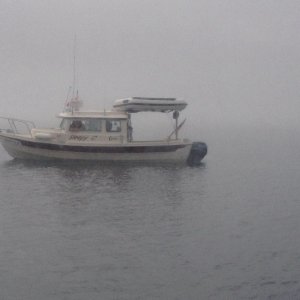 Media 'Wee bit foggy' in album 'Wee bit foggy'