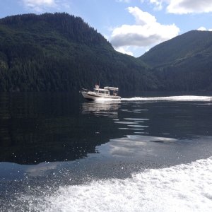 Media 'Smooth run to Kwatzi Bay beautiful day' in album 'Wee bit foggy'