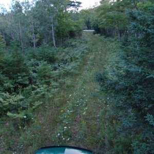 Media 'Backed up in the woods for the night.' in album 'Heading further north on I-75.'